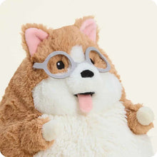 Dorky Corgi Warmies
