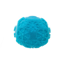 Flower Power Fuzz Ball  NeeDoh ( 5 colores)