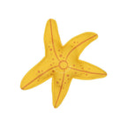 Diving Toys Sea Stars