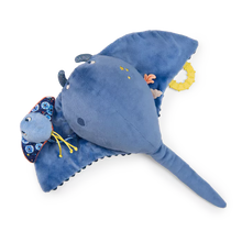 Gran Raya de actividades - Aventuras de Paulie