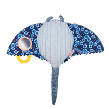 Gran Raya de actividades - Aventuras de Paulie