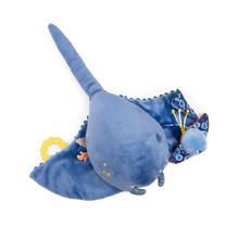 Gran Raya de actividades - Aventuras de Paulie