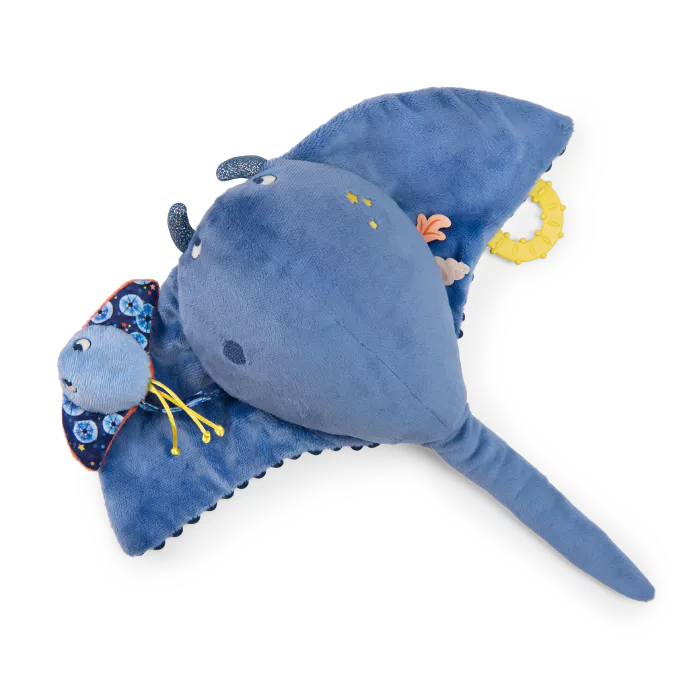 Gran Raya de actividades - Aventuras de Paulie