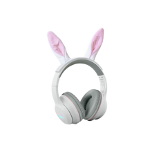 Kidyyears- Rabbit