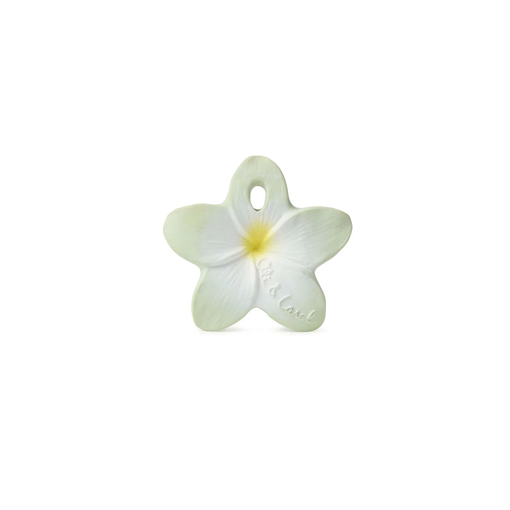 Bali the Flower