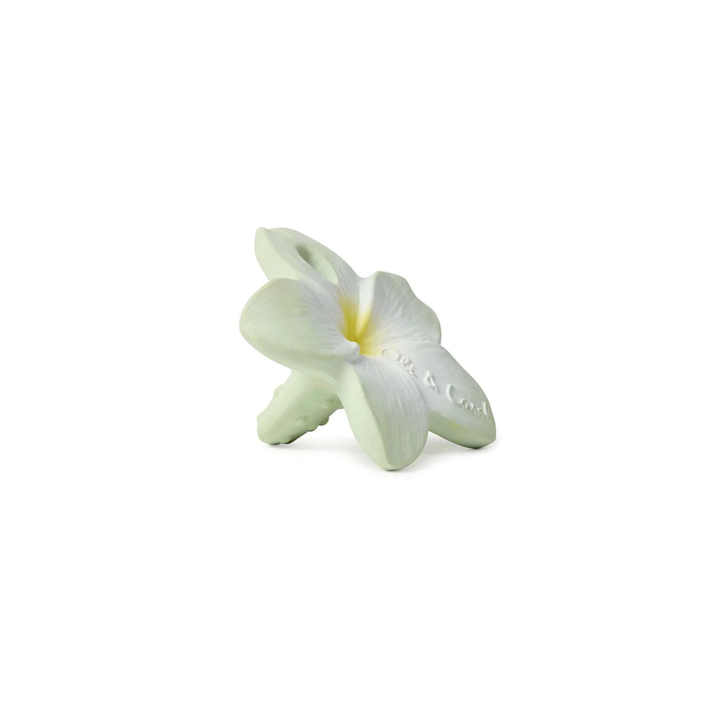 Bali the Flower