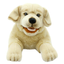 Playful Puppies: Lab (Yellow)
