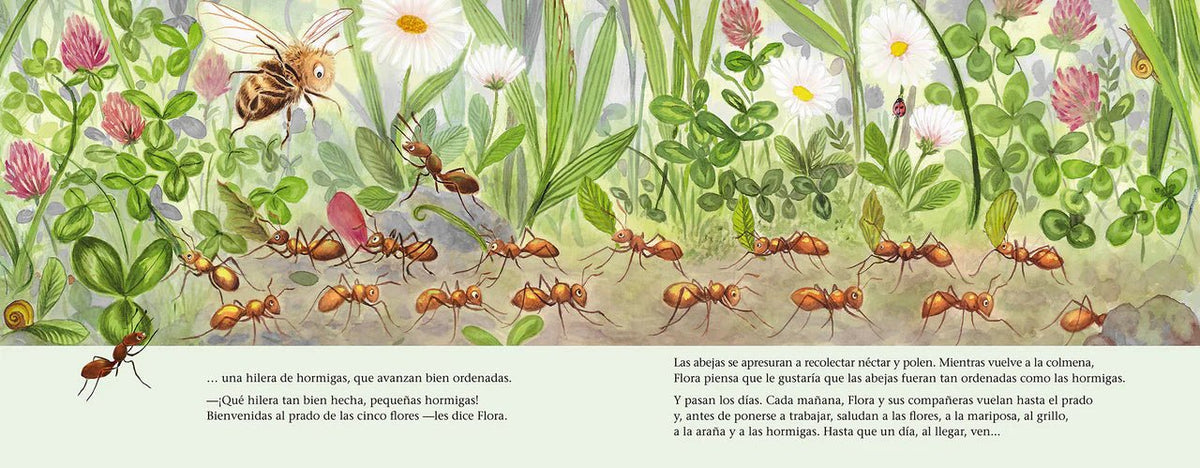 La abeja Flora y el prado de las cinco flores