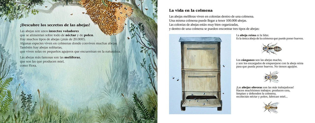La abeja Flora y el prado de las cinco flores