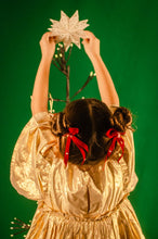 Lacito Lacito (15 diseños)