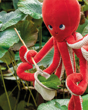 Pulpo gigante Aventuras de Paulie