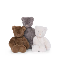 Osos de peluche (3 colores)