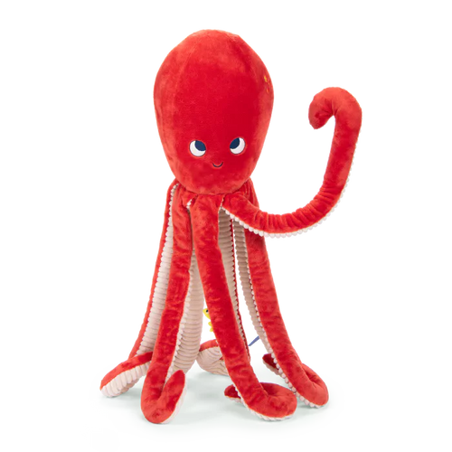 Pulpo gigante Aventuras de Paulie