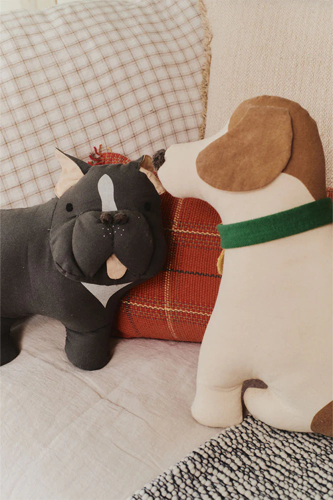 Cushion Jimmy