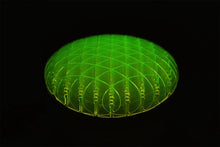 Morf Fidget Worm Green Small