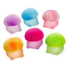 Super Duper Sugar Squisher - Mushroom (6 Colors)
