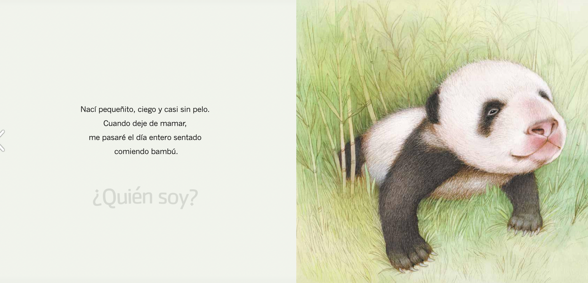 ¿Quién soy? crías de animales Asia