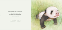 ¿Quién soy? crías de animales Asia