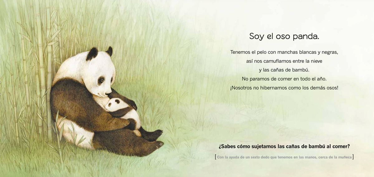 ¿Quién soy? crías de animales Asia