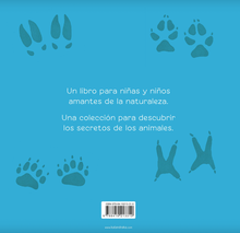 ¿Quién soy? Crías de animales Tierras polares