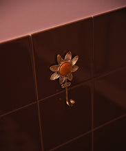 Sera Sun Hook