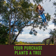 Flybar Swing Swing Swing