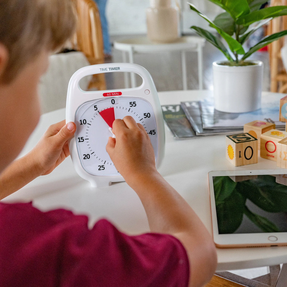 Time Timer ® PLUS 60 Minutos