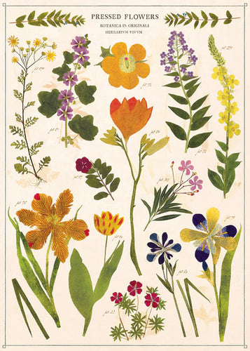 Vintage Poster Kit Pressed Flowers