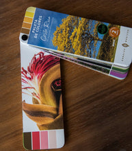 Paleta de colores de Costa Rica- Árboles Mágicos