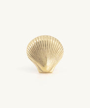 Abby Shell Knob