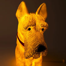 Lamp Scotty
