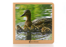 Animales en Familia I