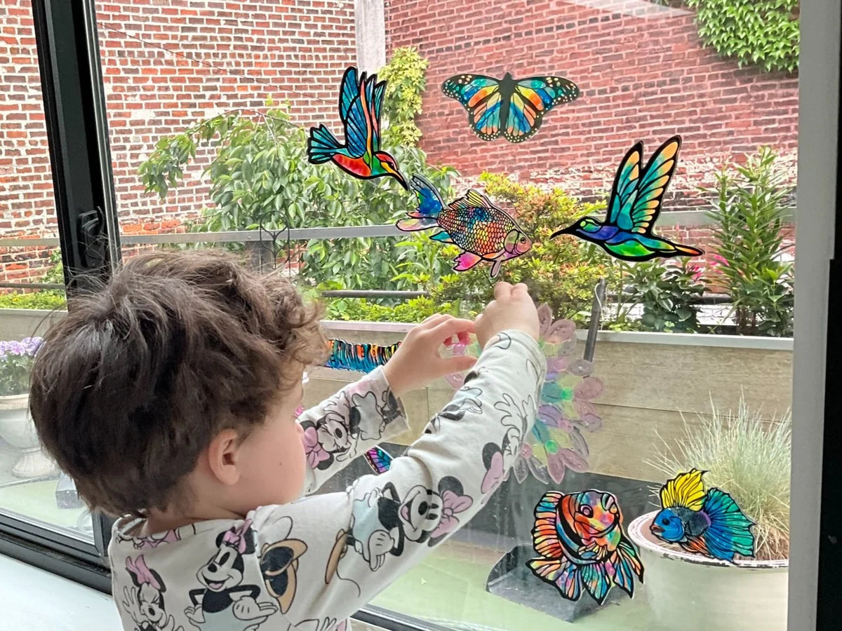 JoyJems Butterfly Pradise Art Kit
