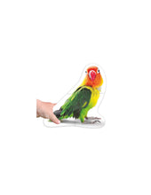 Maxi puzzles animales