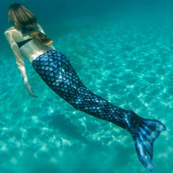 Barracuda cola de sirena negra