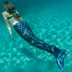Barracuda cola de sirena negra