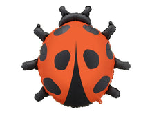 Ladybug Foil	Balloon