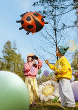 Ladybug Foil	Balloon