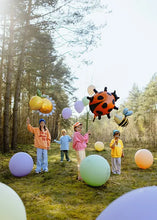 Ladybug Foil	Balloon