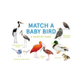 Match a Baby Bird