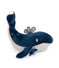 Gran Ballena de actividades Aventuras de Paulie