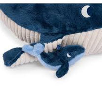 Gran Ballena de actividades Aventuras de Paulie