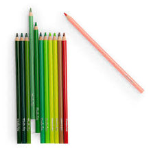 12 lápices de colores + tarjetas El jardín del molino