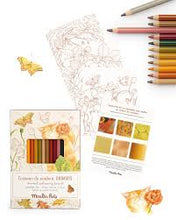 12 lápices de colores + tarjetas El jardín del molino