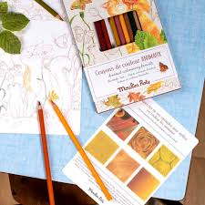 12 lápices de colores + tarjetas El jardín del molino