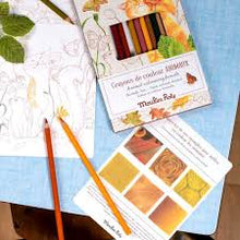 12 lápices de colores + tarjetas El jardín del molino