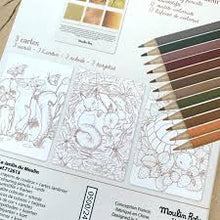 12 lápices de colores + tarjetas El jardín del molino