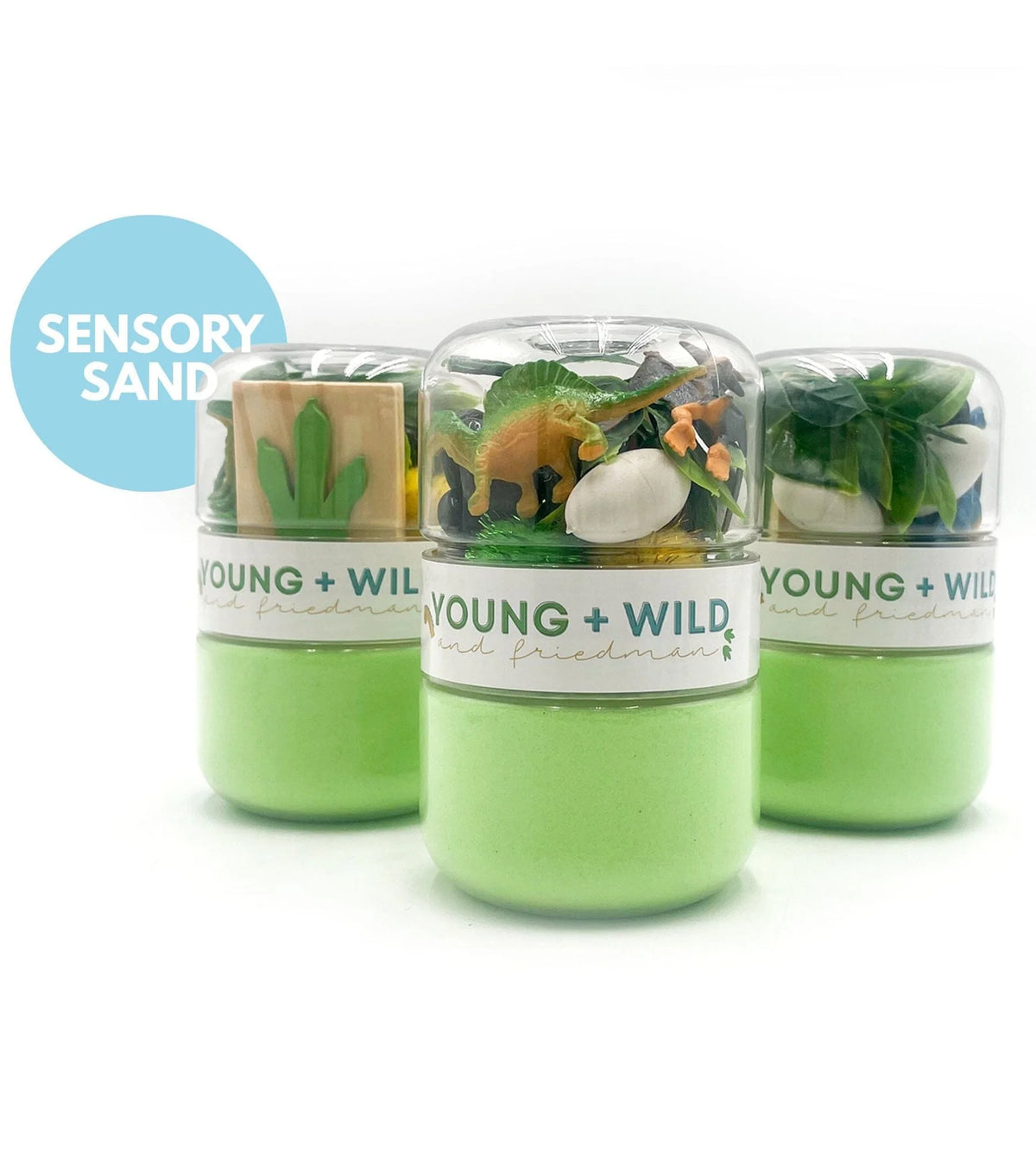 Dinosaur Grab & Go Sensory Sand Jar