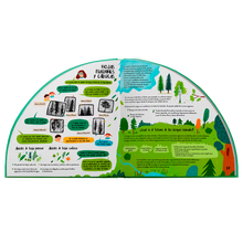 Explora los bosques en 360º