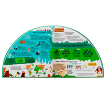 Explora los bosques en 360º